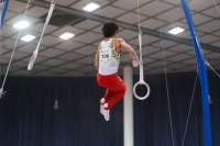 Thumbnail - Japan - Artistic Gymnastics - 2019 - Austrian Future Cup - Participants 02036_22457.jpg