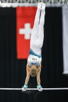 Thumbnail - Savelii Sorochenko - Artistic Gymnastics - 2019 - Austrian Future Cup - Participants - Russia 02036_22995.jpg