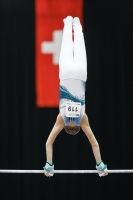 Thumbnail - Savelii Sorochenko - Artistic Gymnastics - 2019 - Austrian Future Cup - Participants - Russia 02036_23009.jpg