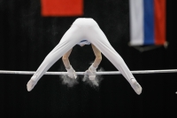 Thumbnail - Ilia Zotov - Gymnastique Artistique - 2019 - Austrian Future Cup - Participants - Russia 02036_23075.jpg