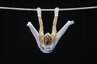 Thumbnail - Ilia Zotov - Gymnastique Artistique - 2019 - Austrian Future Cup - Participants - Russia 02036_23108.jpg