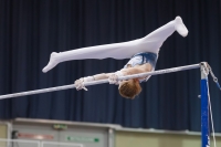 Thumbnail - Ilia Zotov - Спортивная гимнастика - 2019 - Austrian Future Cup - Participants - Russia 02036_23119.jpg