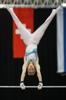 Thumbnail - Timofei Prostakov - Artistic Gymnastics - 2019 - Austrian Future Cup - Participants - Russia 02036_23230.jpg