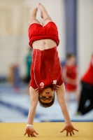 Thumbnail - AK 12 - Noah Beetz - Спортивная гимнастика - 2020 - Landes-Meisterschaften Ost - Participants - Cottbus 02039_00586.jpg