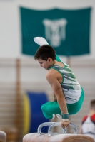 Thumbnail - AK 12 - Joshua Tandel - Gymnastique Artistique - 2020 - Landes-Meisterschaften Ost - Participants - Halle 02039_00665.jpg