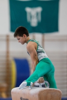 Thumbnail - AK 12 - Joshua Tandel - Gymnastique Artistique - 2020 - Landes-Meisterschaften Ost - Participants - Halle 02039_00666.jpg