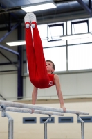 Thumbnail - AK 13-14 - Felix Seemann - Спортивная гимнастика - 2020 - Landes-Meisterschaften Ost - Participants - Cottbus 02039_01017.jpg