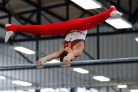 Thumbnail - AK 13-14 - Leonard Abramowicz - Gymnastique Artistique - 2020 - Landes-Meisterschaften Ost - Participants - Berlin 02039_01077.jpg