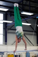 Thumbnail - Halle - Gymnastique Artistique - 2020 - Landes-Meisterschaften Ost - Participants 02039_01852.jpg