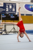 Thumbnail - AK 13-14 - Felix Seemann - Artistic Gymnastics - 2020 - Landes-Meisterschaften Ost - Participants - Cottbus 02039_02266.jpg