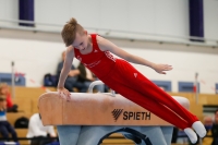 Thumbnail - AK 13-14 - Wagner, Lucas - Ginnastica Artistica - 2020 - Landes-Meisterschaften Ost - Participants - Cottbus 02039_02486.jpg