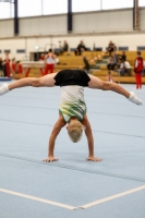 Thumbnail - Halle - Artistic Gymnastics - 2020 - Landes-Meisterschaften Ost - Participants 02039_02532.jpg