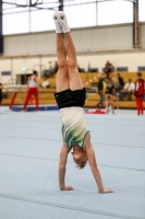 Thumbnail - Halle - Artistic Gymnastics - 2020 - Landes-Meisterschaften Ost - Participants 02039_02534.jpg