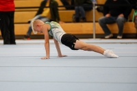 Thumbnail - Halle - Gymnastique Artistique - 2020 - Landes-Meisterschaften Ost - Participants 02039_02538.jpg