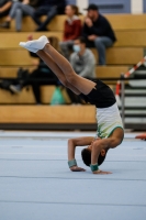 Thumbnail - Halle - Artistic Gymnastics - 2020 - Landes-Meisterschaften Ost - Participants 02039_02702.jpg