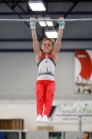 Thumbnail - AK 11 - Pepe Schönig - Gymnastique Artistique - 2020 - Landes-Meisterschaften Ost - Participants - Berlin 02039_03074.jpg