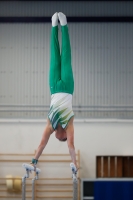 Thumbnail - AK 12 - Joshua Tandel - Gymnastique Artistique - 2020 - Landes-Meisterschaften Ost - Participants - Halle 02039_03207.jpg