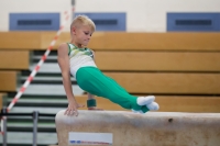 Thumbnail - Halle - Artistic Gymnastics - 2020 - Landes-Meisterschaften Ost - Participants 02039_03275.jpg