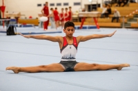 Thumbnail - AK 11 - Utku Ötzkan - Artistic Gymnastics - 2020 - Landes-Meisterschaften Ost - Participants - Berlin 02039_03484.jpg