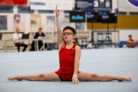 Thumbnail - AK 12 - Noah Beetz - Artistic Gymnastics - 2020 - Landes-Meisterschaften Ost - Participants - Cottbus 02039_03654.jpg