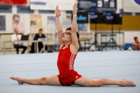 Thumbnail - AK 12 - Noah Beetz - Artistic Gymnastics - 2020 - Landes-Meisterschaften Ost - Participants - Cottbus 02039_03656.jpg