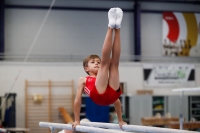 Thumbnail - AK 9-10 - Hayden Rößler - Ginnastica Artistica - 2020 - Landes-Meisterschaften Ost - Participants - Cottbus 02039_04313.jpg