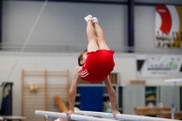 Thumbnail - AK 9-10 - Hayden Rößler - Ginnastica Artistica - 2020 - Landes-Meisterschaften Ost - Participants - Cottbus 02039_04316.jpg