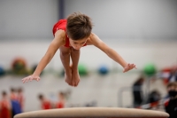 Thumbnail - AK 9-10 - Hayden Rößler - Ginnastica Artistica - 2020 - Landes-Meisterschaften Ost - Participants - Cottbus 02039_04459.jpg