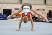 Thumbnail - AK 9-10 - Levi Kerk - Artistic Gymnastics - 2020 - Landes-Meisterschaften Ost - Participants - Berlin 02039_05407.jpg