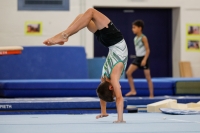 Thumbnail - Halle - Artistic Gymnastics - 2020 - Landes-Meisterschaften Ost - Participants 02039_05698.jpg