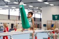 Thumbnail - Halle - Artistic Gymnastics - 2020 - Landes-Meisterschaften Ost - Participants 02039_05820.jpg