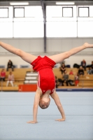 Thumbnail - AK 9-10 - Carl Hampel - Gymnastique Artistique - 2020 - Landes-Meisterschaften Ost - Participants - Cottbus 02039_06399.jpg