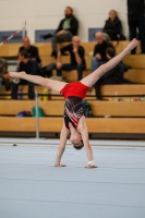 Thumbnail - Chemnitz - Спортивная гимнастика - 2020 - Landes-Meisterschaften Ost - Participants 02039_06520.jpg
