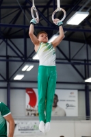 Thumbnail - Halle - Artistic Gymnastics - 2020 - Landes-Meisterschaften Ost - Participants 02039_06695.jpg