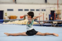 Thumbnail - Halle - Artistic Gymnastics - 2020 - Landes-Meisterschaften Ost - Participants 02039_06861.jpg