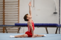 Thumbnail - AK 9-10 - Hayden Rößler - Artistic Gymnastics - 2020 - Landes-Meisterschaften Ost - Participants - Cottbus 02039_07562.jpg