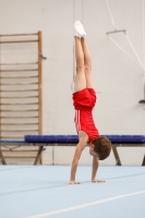 Thumbnail - AK 9-10 - Hayden Rößler - Artistic Gymnastics - 2020 - Landes-Meisterschaften Ost - Participants - Cottbus 02039_07566.jpg