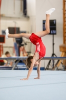 Thumbnail - AK 9-10 - Hayden Rößler - Artistic Gymnastics - 2020 - Landes-Meisterschaften Ost - Participants - Cottbus 02039_07568.jpg