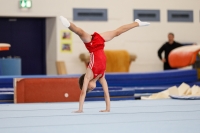 Thumbnail - AK 9-10 - Hayden Rößler - Gymnastique Artistique - 2020 - Landes-Meisterschaften Ost - Participants - Cottbus 02039_07576.jpg