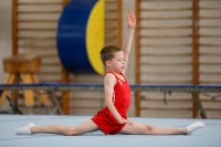 Thumbnail - AK 9-10 - Till Nobis - Artistic Gymnastics - 2020 - Landes-Meisterschaften Ost - Participants - Cottbus 02039_07702.jpg