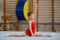 Thumbnail - AK 9-10 - Till Nobis - Artistic Gymnastics - 2020 - Landes-Meisterschaften Ost - Participants - Cottbus 02039_07703.jpg