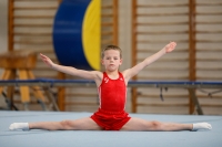 Thumbnail - AK 9-10 - Till Nobis - Artistic Gymnastics - 2020 - Landes-Meisterschaften Ost - Participants - Cottbus 02039_07704.jpg
