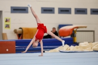 Thumbnail - AK 9-10 - Till Nobis - Artistic Gymnastics - 2020 - Landes-Meisterschaften Ost - Participants - Cottbus 02039_07718.jpg