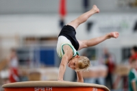 Thumbnail - Halle - Спортивная гимнастика - 2020 - Landes-Meisterschaften Ost - Participants 02039_07960.jpg