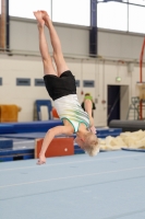 Thumbnail - Halle - Artistic Gymnastics - 2020 - Landes-Meisterschaften Ost - Participants 02039_08980.jpg