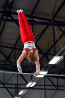 Thumbnail - Herren - David Schlüter - Gymnastique Artistique - 2020 - Landes-Meisterschaften Ost - Participants - Berlin 02039_09009.jpg