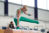 Thumbnail - Halle - Спортивная гимнастика - 2020 - Landes-Meisterschaften Ost - Participants 02039_09562.jpg