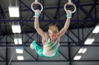 Thumbnail - Halle - Artistic Gymnastics - 2020 - Landes-Meisterschaften Ost - Participants 02039_09812.jpg