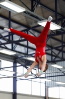 Thumbnail - AK 13-14 - Felix Seemann - Gymnastique Artistique - 2020 - Landes-Meisterschaften Ost - Participants - Cottbus 02039_09896.jpg