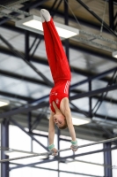 Thumbnail - AK 13-14 - Felix Seemann - Artistic Gymnastics - 2020 - Landes-Meisterschaften Ost - Participants - Cottbus 02039_10002.jpg